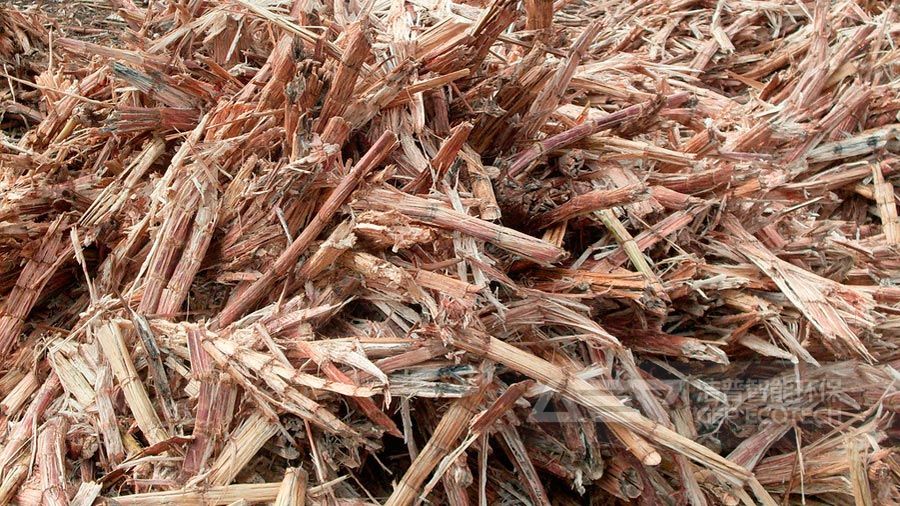 干燥的甘蔗葉原料